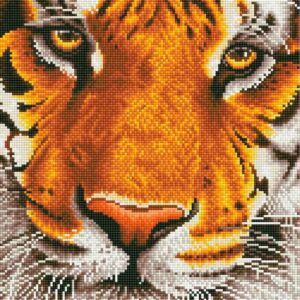 Kit Diamond Painting intermediate DIAMOND DOTZ